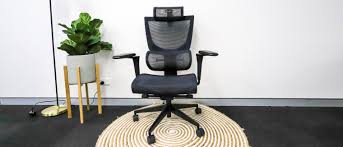 Hinomi Chair Review: The Ultimate Guide by Titan Reviews Online