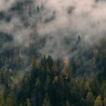 Is Cricbet99 Download Available For Ios Devices?