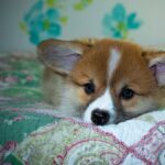 Exploring 99exch: In‑Depth Review of India’s Emerging Crypto Exchange Platform