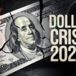 Reddyanna Pro: A Comprehensive Look at the Latest Innovation in Digital Publishing